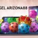 togel arizona88